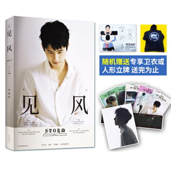 见风 刘昊然新书 赠明信片海报 随机抽送人形立牌或概念书签【新华书店正版书籍】