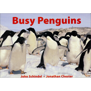 Busy Penguins[忙碌的企鵝] [平裝] [2歲及以上] pdf epub mobi 電子書 下載