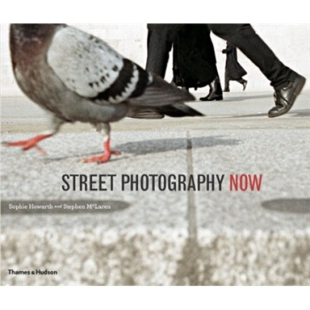 Street Photography Now当代街头摄影 英文原版 [平装] pdf epub mobi 电子书 下载