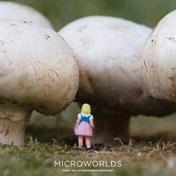Microworlds 微观世界 [平装] pdf epub mobi 电子书 下载