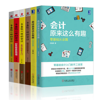 会计轻松入门【6册】牛角包一样的会计：控制与流程再造+融资那些事儿+会计原来这么有趣 pdf epub mobi 电子书 下载