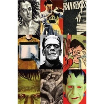 Frankenstein: A Cultural History [精装] pdf epub mobi 电子书 下载