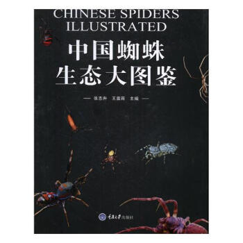 中国蜘蛛生态大图鉴 科普读物 书籍 pdf epub mobi 电子书 下载