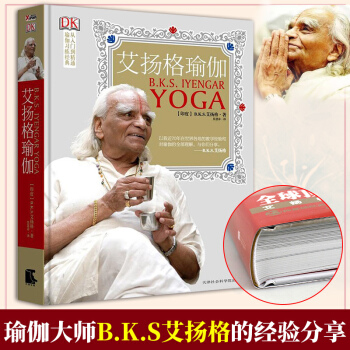 艾揚格瑜伽 DK瑜伽練習經典從入門到精通 瑜伽書籍瑜伽練習指南運動健身美體 pdf epub mobi 電子書 下載