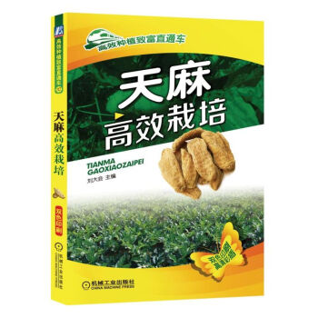 天麻高效栽培 种植技术病虫害诊断及综合防治技术种子种苗高产栽培与加工利 pdf epub mobi 电子书 下载