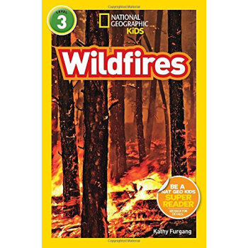 Wildfires [平装] [4-8岁] pdf epub mobi 电子书 下载