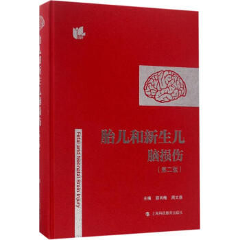 胎儿和新生儿脑损伤(第2版) 邵肖梅周文浩主编 医学 书籍 pdf epub mobi 电子书 下载