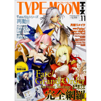 Type-Moonエースvol.11 型月 Typemoon 日文原版 pdf epub mobi 下载