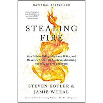 Stealing Fire How Silicon Valley， Special Force 英文原版 [精裝] pdf epub mobi 電子書 下載