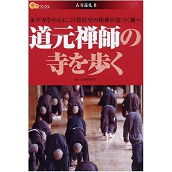 道元禅師の寺を歩く 永平寺を中心に、只管打坐の精神が息づく地へ pdf epub mobi 下载