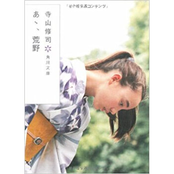 あゝ、荒野 pdf epub mobi 电子书 下载