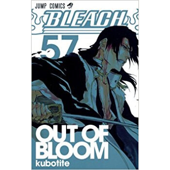 Bleach 57 pdf epub mobi 电子书 下载