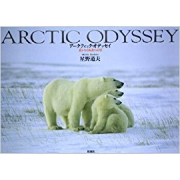 アークティック?オデッセイ 遥かなる極北の記憶 pdf epub mobi 电子书 下载