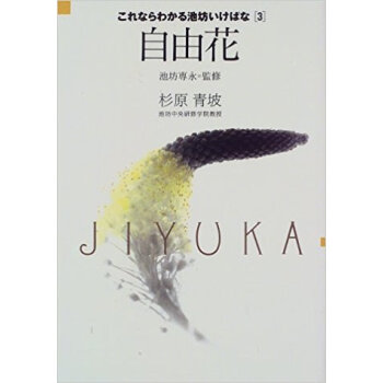 これならわかる池坊いけばな 3 pdf epub mobi 电子书 下载