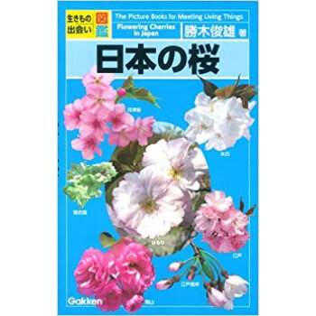 日本の桜 pdf epub mobi 电子书 下载