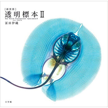 〈新世界〉透明標本 2 pdf epub mobi 电子书 下载