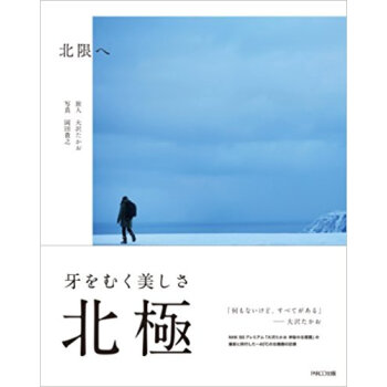 北限へ pdf epub mobi 电子书 下载