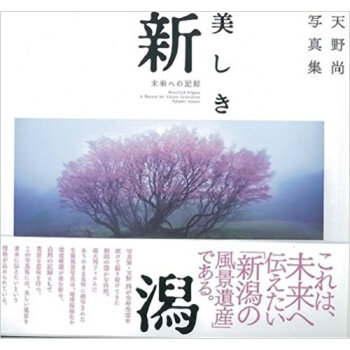 美しき新潟 未来への記録 天野尚写真集 pdf epub mobi 电子书 下载