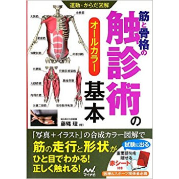 筋と骨格の触診術の基本 オールカラー pdf epub mobi 电子书 下载