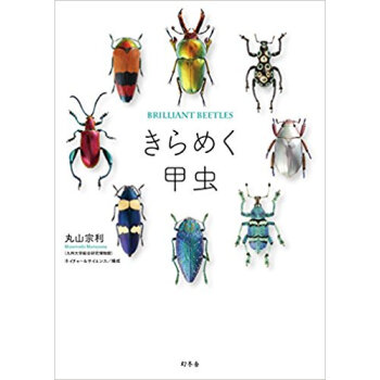 きらめく甲虫 pdf epub mobi 电子书 下载