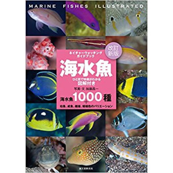 海水魚 ひと目で特徴がわかる図解付き 海水魚1000種+幼魚、成魚、雌雄、婚姻色のバリエーション pdf epub mobi 电子书 下载