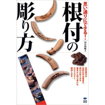 思い通りにできる!根付の彫り方 道具の使い方から、多くの作例を使いわかりやすく根付彫刻の楽しさを伝授 pdf epub mobi 电子书 下载
