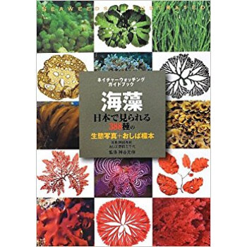 海藻 日本で見られる388種の生態写真+おしば標本 pdf epub mobi 电子书 下载