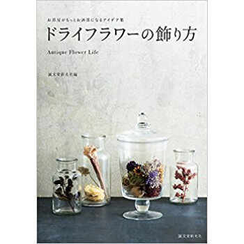 ドライフラワーの飾り方 pdf epub mobi 电子书 下载