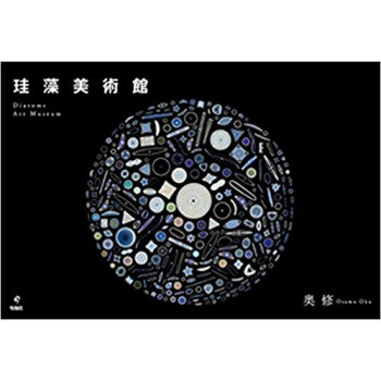 珪藻美術館 pdf epub mobi 电子书 下载