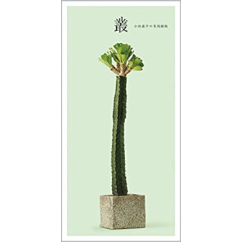 叢 小田康平の多肉植物 pdf epub mobi 电子书 下载