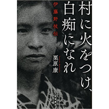 村に火をつけ、白痴になれ 伊藤野枝伝 pdf epub mobi 电子书 下载