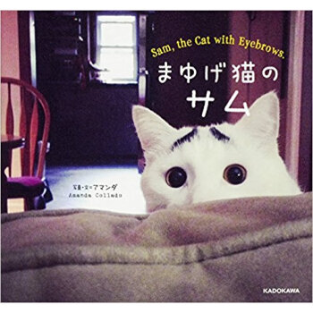 まゆげ猫のサム pdf epub mobi 电子书 下载