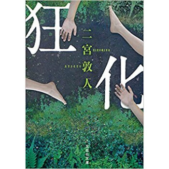 狂化 pdf epub mobi 电子书 下载