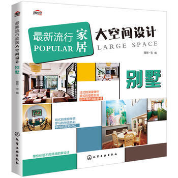 新流行家居大空间设计 别墅 pdf epub mobi 电子书 下载