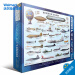 美国直邮 EUROGRAPHICS 航空拼图史 航空拼图史 pdf epub mobi 电子书 下载