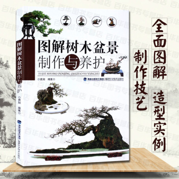 图解树木盆景制作与养护 盆景植物养护宝典 室内园艺盆景制作教程树木盆景制作基础教材书 学习 pdf epub mobi 电子书 下载