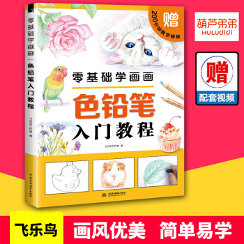 零基础学画画 色铅笔入门教程 彩铅画入门教程书 飞乐鸟 彩铅绘画书 色铅笔绘画技法基础教材