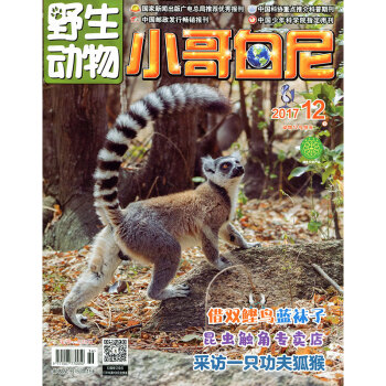 小哥白尼 野生动物画报杂志2017年第12期 采访一只功夫狐猴 pdf epub mobi 电子书 下载