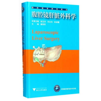 腹腔镜肝脏外科学 pdf epub mobi 电子书 下载
