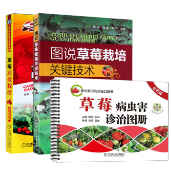 草莓高效栽培+草莓病虫害诊治图册+图说草莓栽培关键技术 3册 pdf epub mobi 电子书 下载