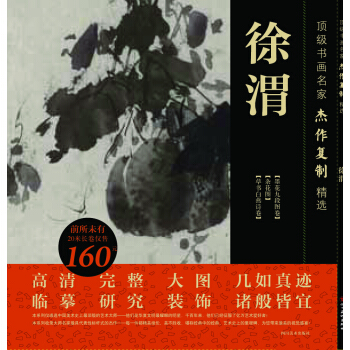 书画名家杰作复制精选——徐渭 pdf epub mobi 电子书 下载
