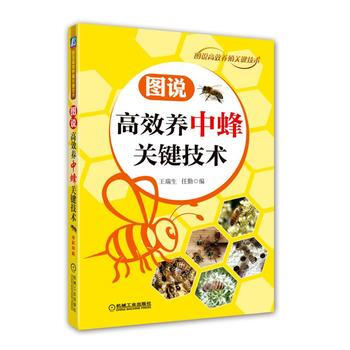图说高效养中蜂关键技术 湖北新华书店 pdf epub mobi 电子书 下载