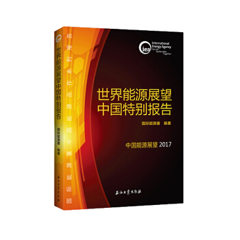 世界能源展望中國特彆報告