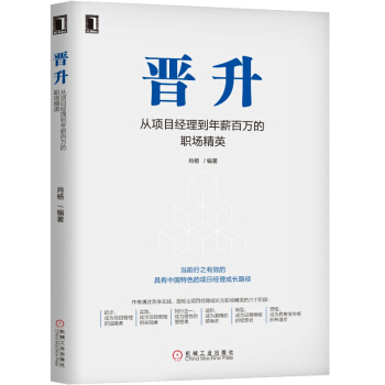 晋升-从项目经理到年薪百万的职场精英 肖杨 项目经理职业发展书籍 项目经理晋升方法 pdf epub mobi 电子书 下载