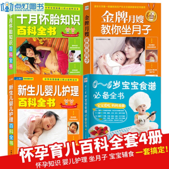 怀孕育儿书籍全套4册孕妇书籍大全怀孕百科0-2岁育婴书 宝宝辅食书0-6岁宝宝食谱必备全书 pdf epub mobi 电子书 下载