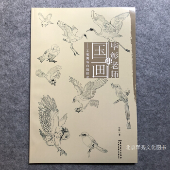 畢彰老師講國畫 工筆禽鳥白描技法 pdf epub mobi 電子書 下載