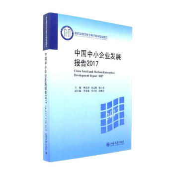 中国中小企业发展报告2017 pdf epub mobi 电子书 下载