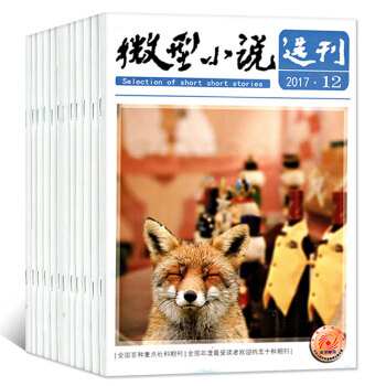 微型小说选刊10本打包2017年2/12+2016年8本期文学文摘过期刊杂志 pdf epub mobi 电子书 下载