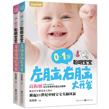 0-1岁聪明宝宝左脑右脑大开发(家庭典藏系列) 全2册 新生儿婴儿左右脑全脑大脑益智力启蒙故事书 pdf epub mobi 电子书 下载