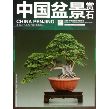 中国盆景赏石(2013-10) pdf epub mobi 电子书 下载